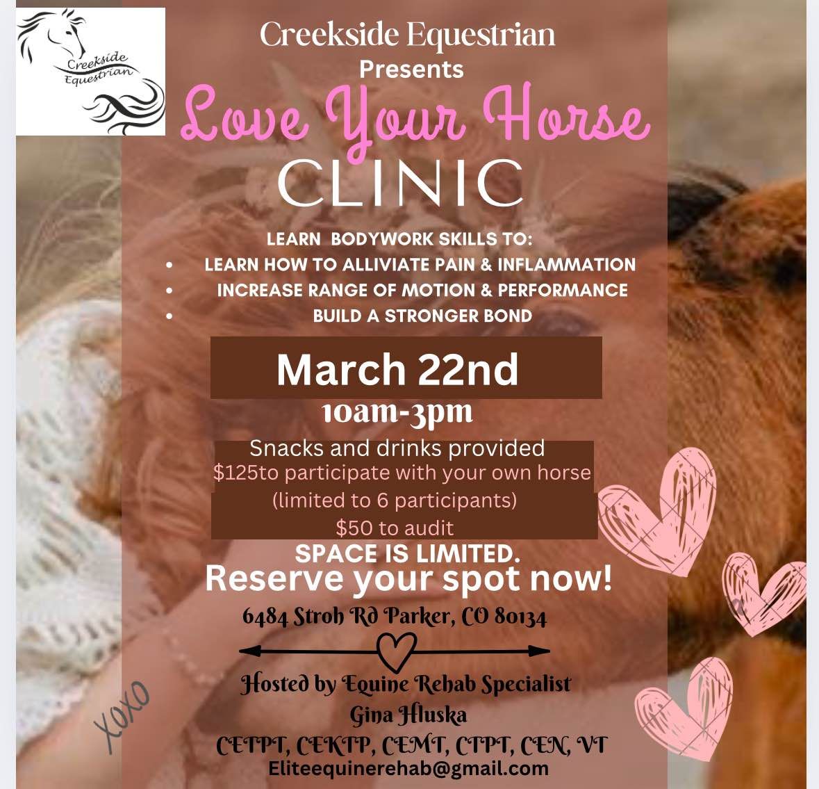 Love Your Horse Clinic