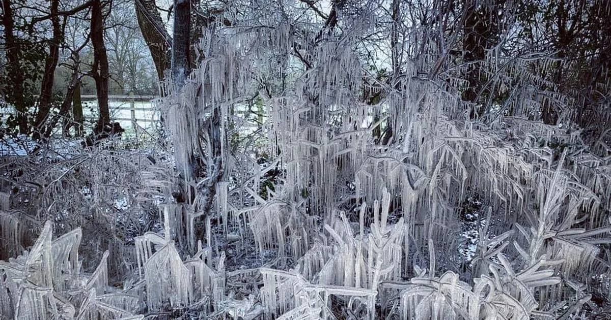 'To Drive The Cold Winter Away', Lewes Saturday Folk Club