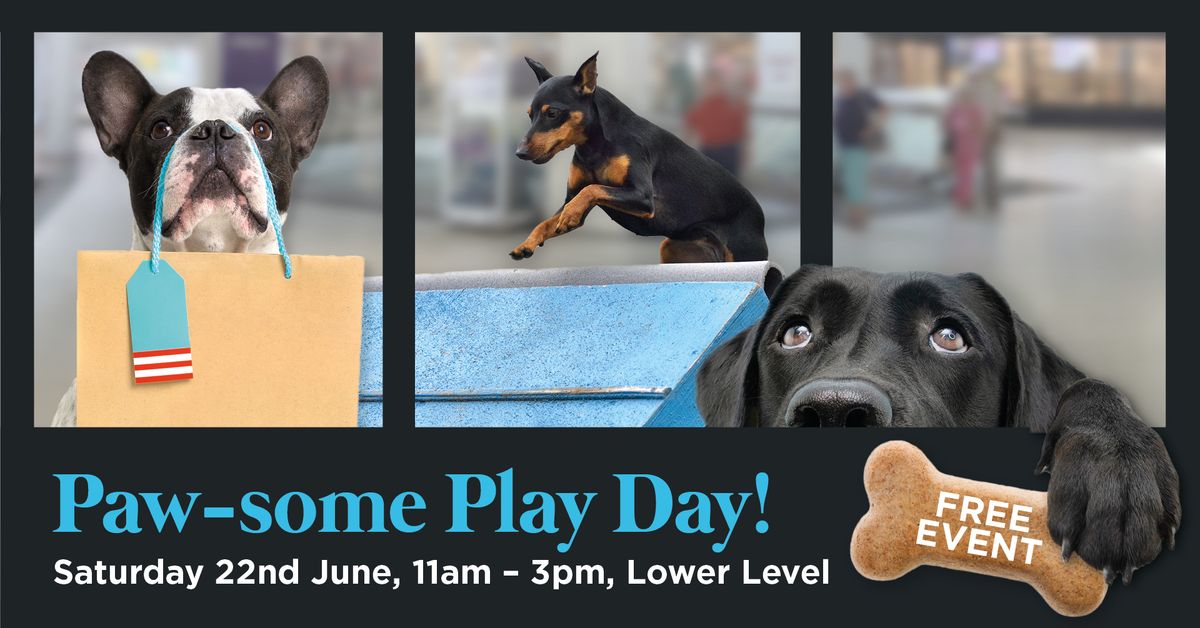 \ud83d\udc15 Paw-some Play Day: A Dog Friendly Event