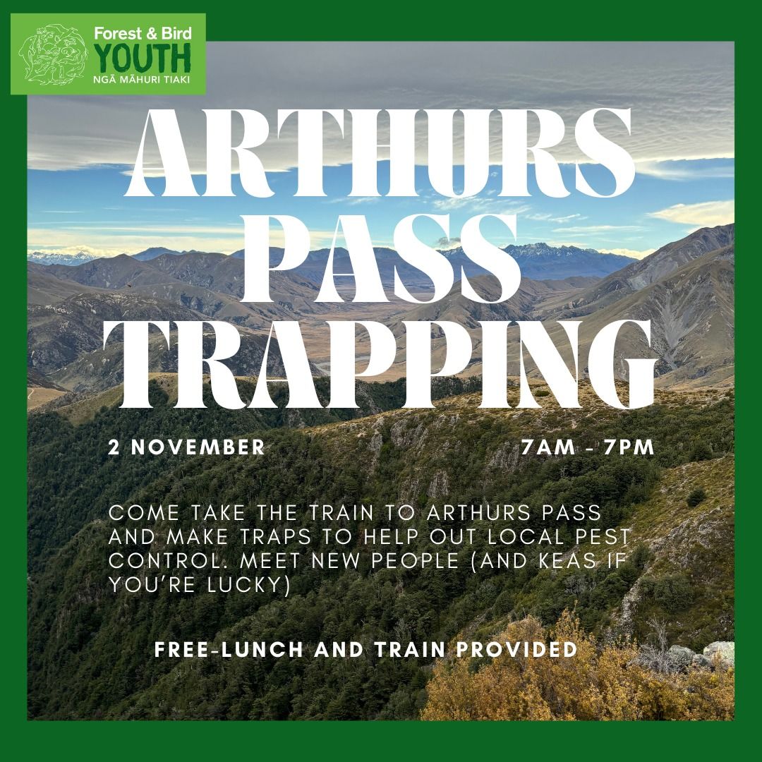 Arthurs Pass Trip - make traps with us!