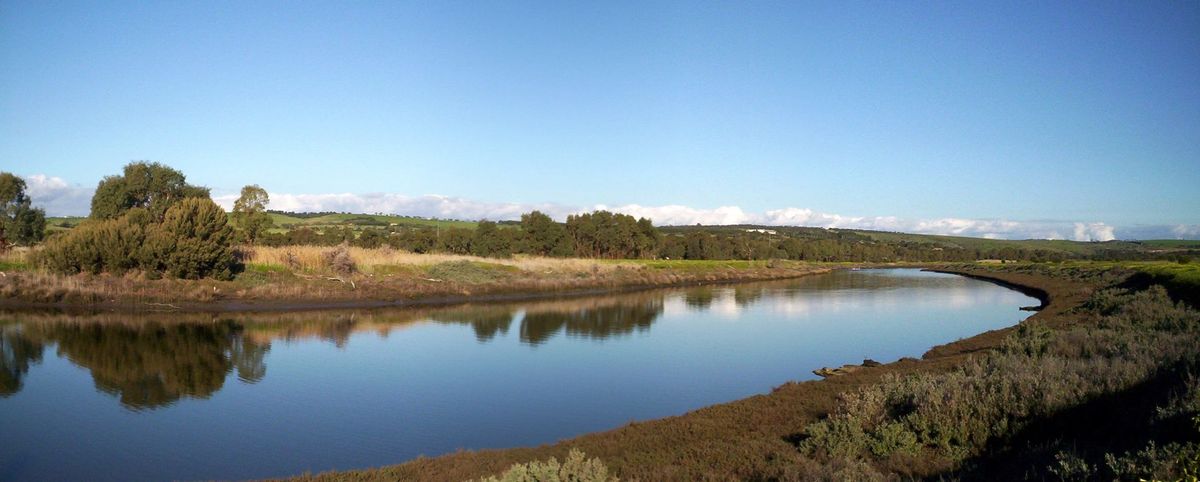 Christies Beach Run Club - 5.2km River View Run