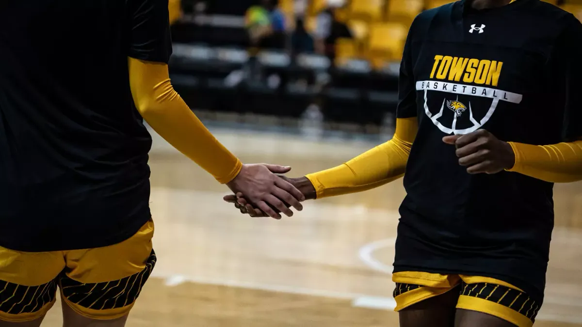 Towson Tigers at Northeastern Huskies Womens Basketball