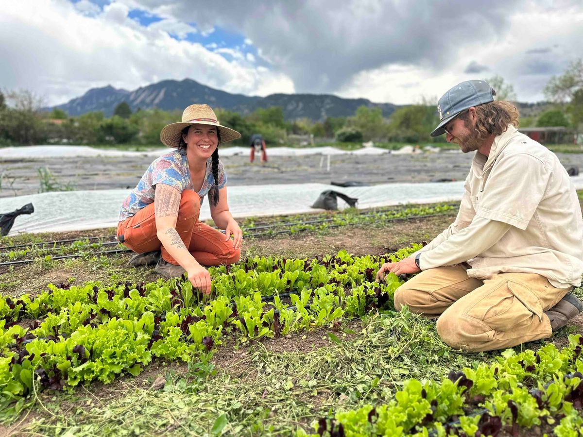 Front Range Vegetable Gardening 101 with Sarah