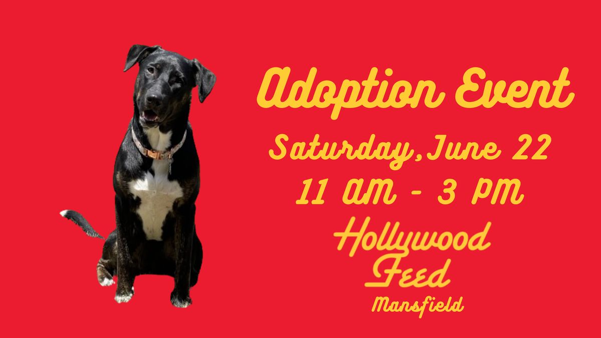 Hollywood Feed Adoption Event