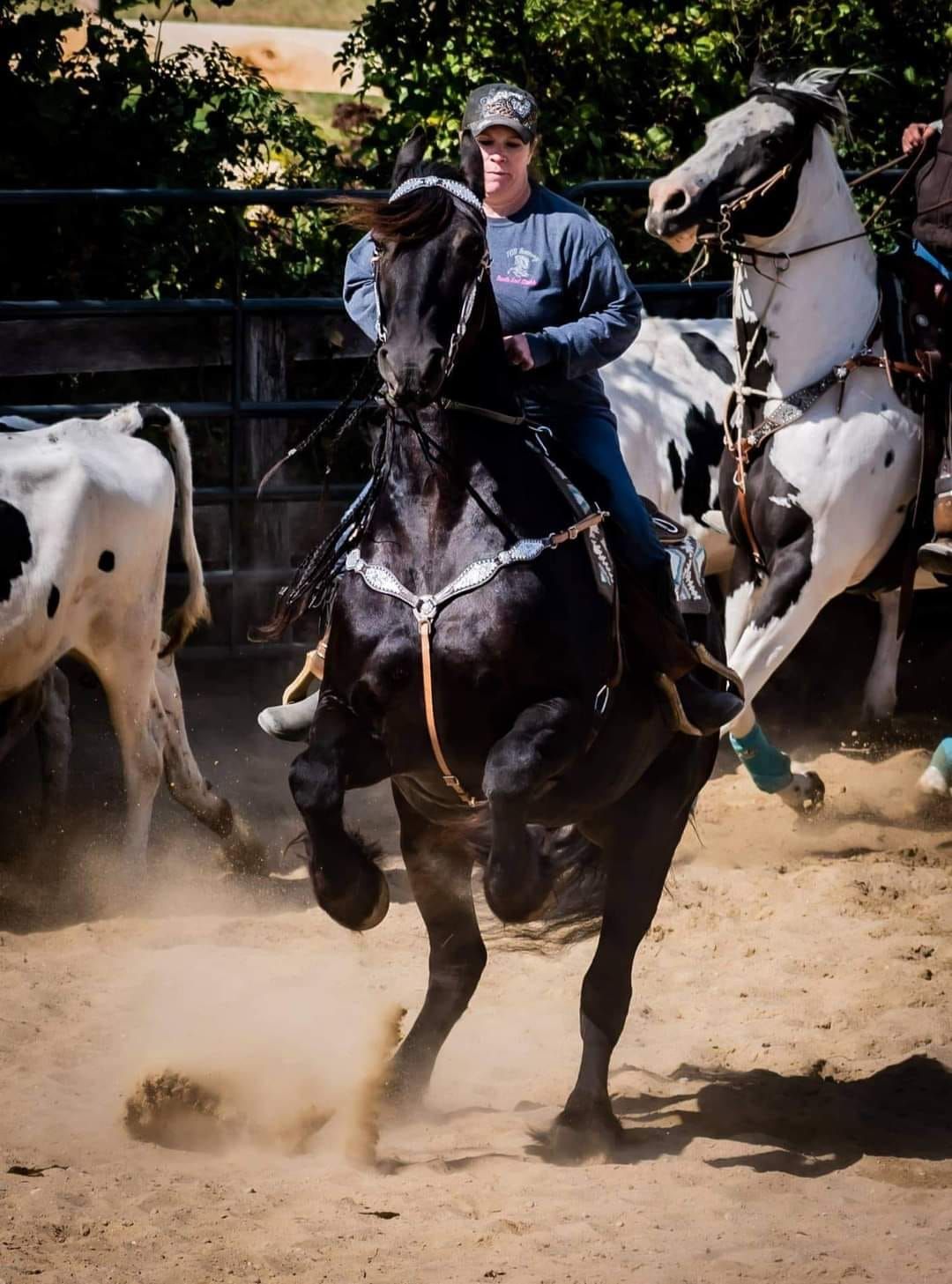 Intro to Cow Sorting clinic