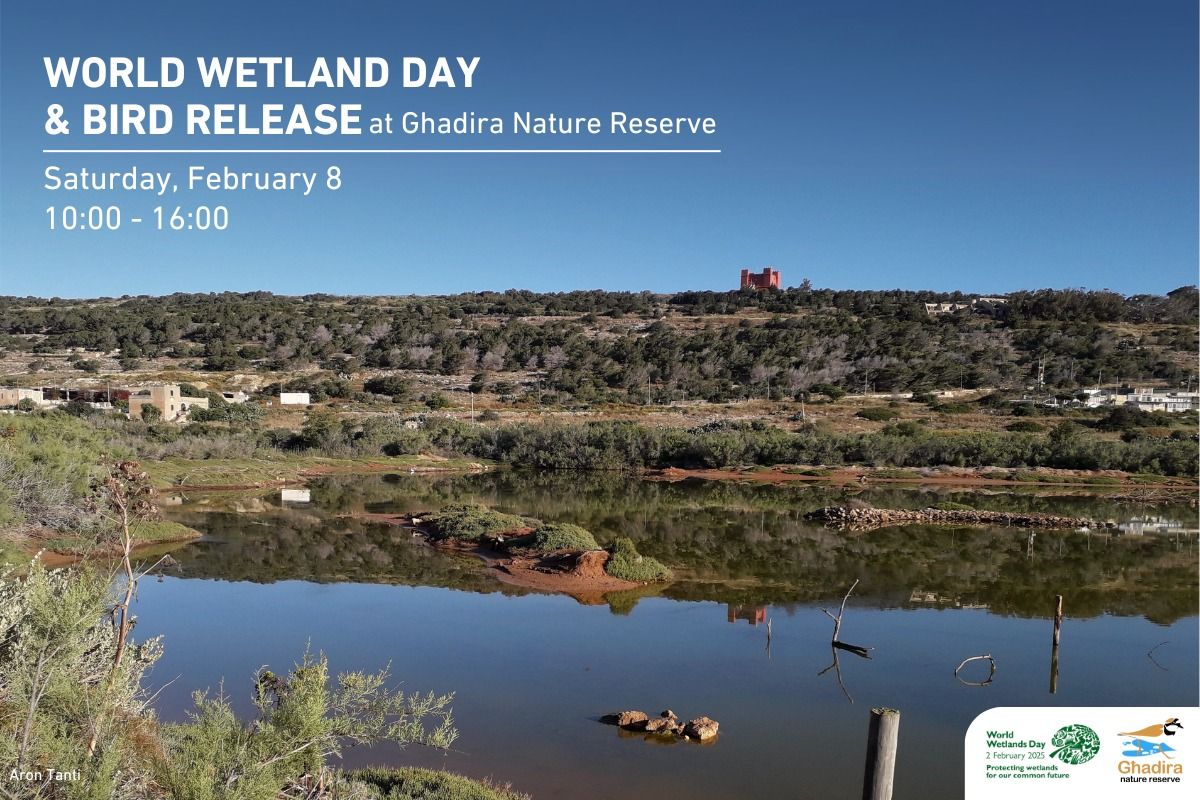 World Wetlands Day & Bird Release at G\u0127adira! 