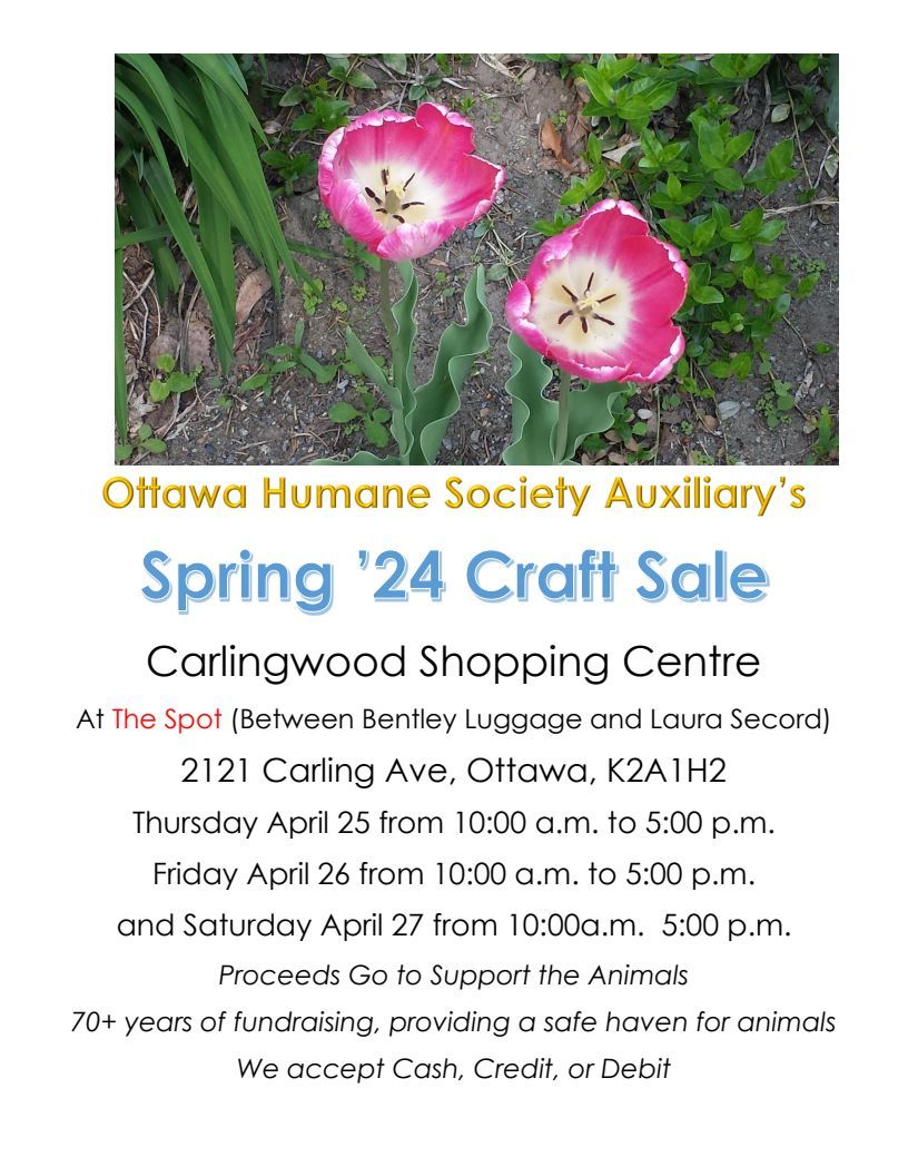 OHS Auxiliary Spring Craft Sale