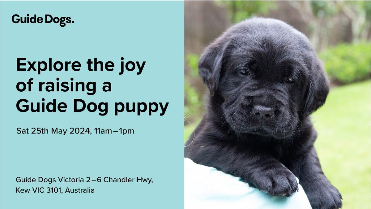Explore Puppy Raising - Guide Dogs Victoria