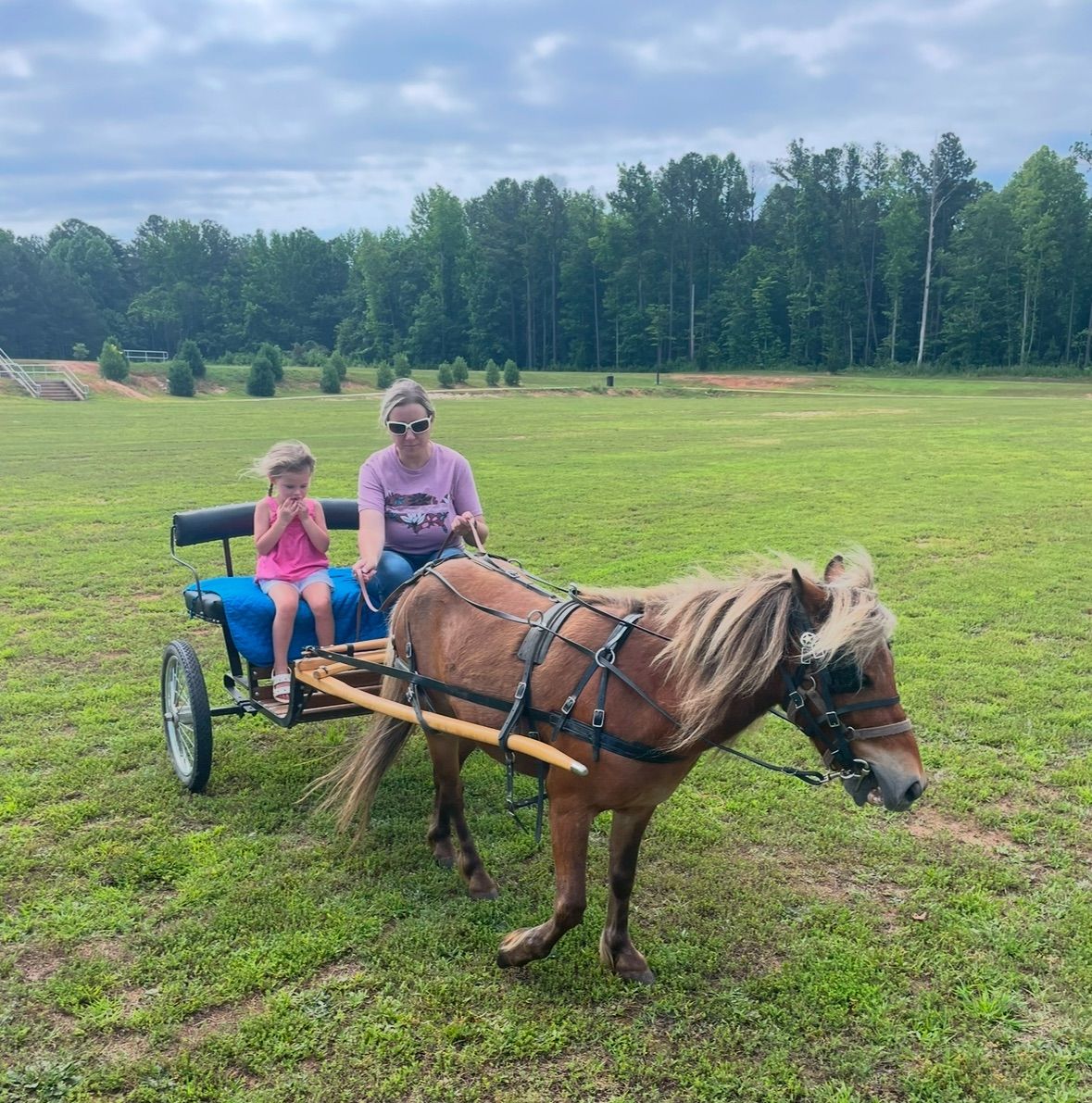 MINI HORSES AND CART RIDES FOR PREK