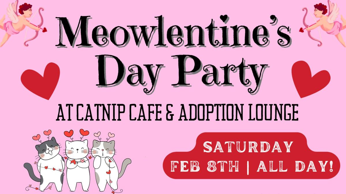 Meowlentine's Day Party At Catnip Cafe