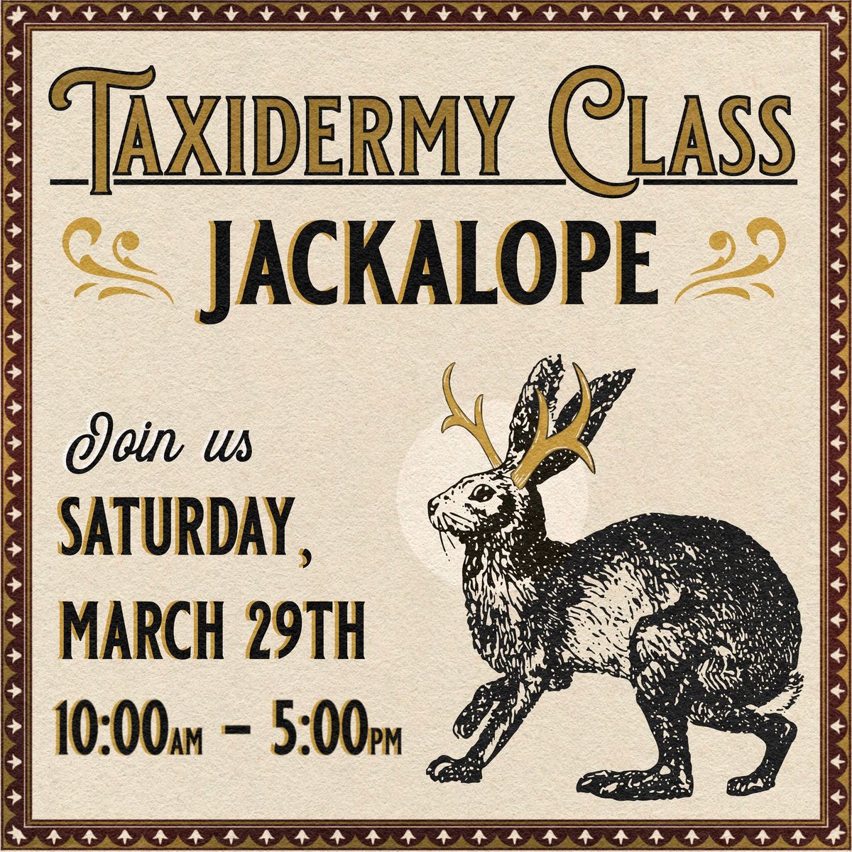 Taxidermy Jackalope Class