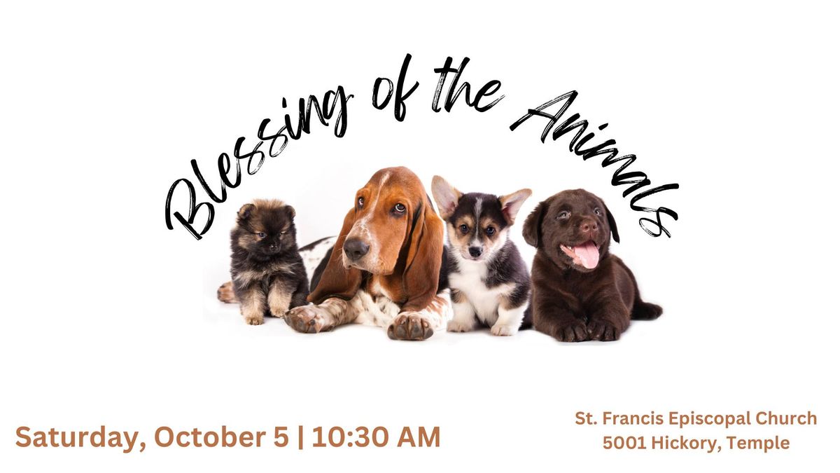 Blessing of the Animals