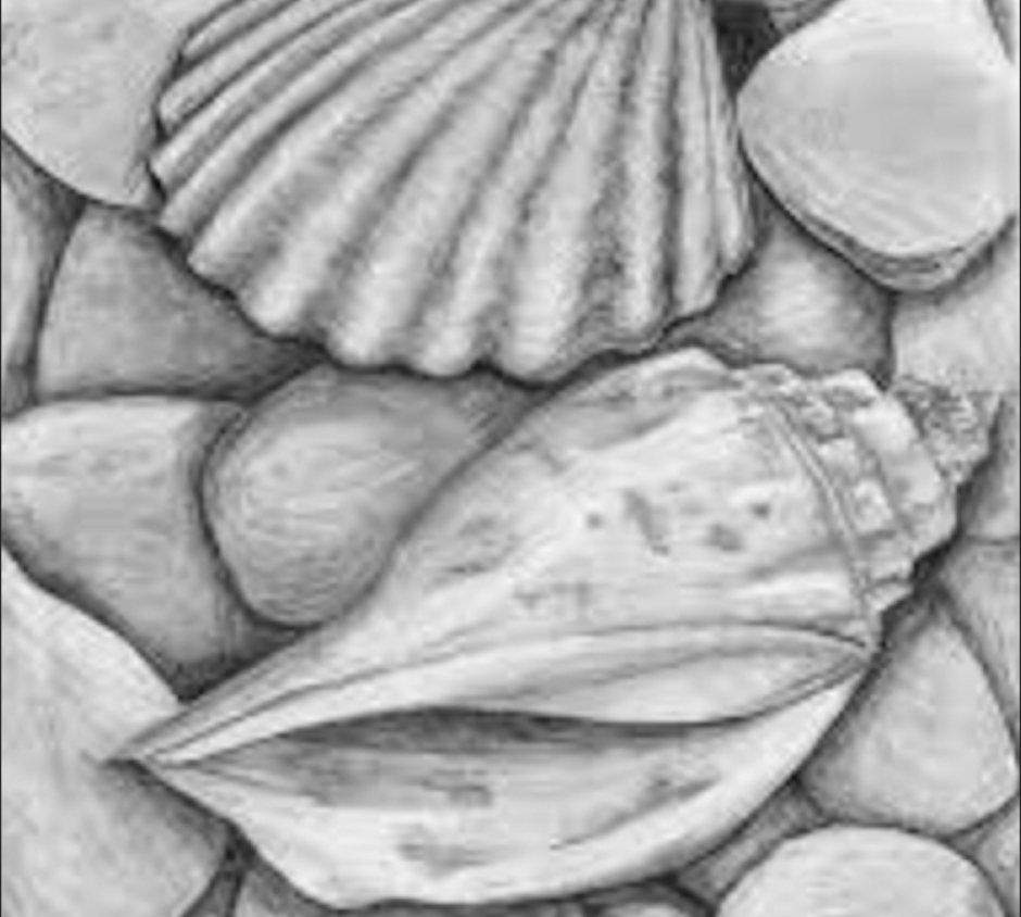 Art Methods for Kids - Drawing\/Shading with Graphite