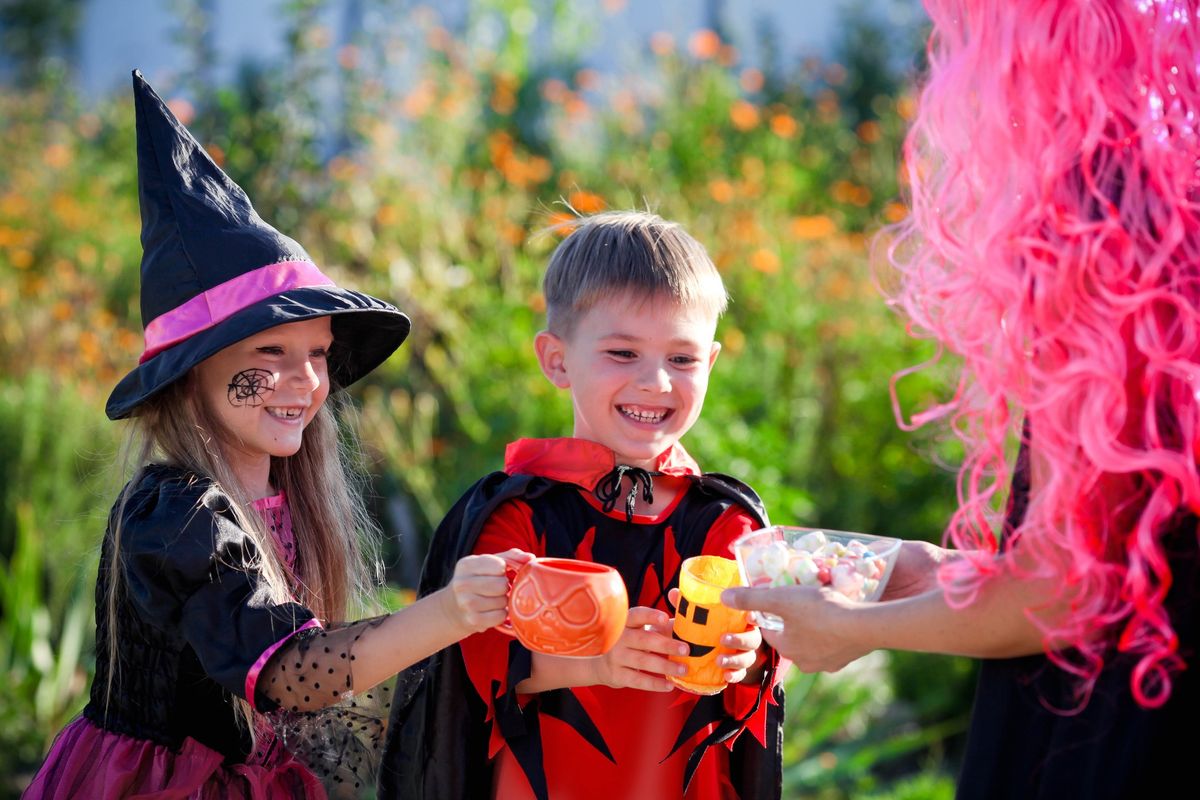 Halloween Half Term at Trentham