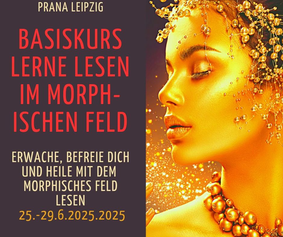 LERNE LESEN IM MORPHISCHEN FELD