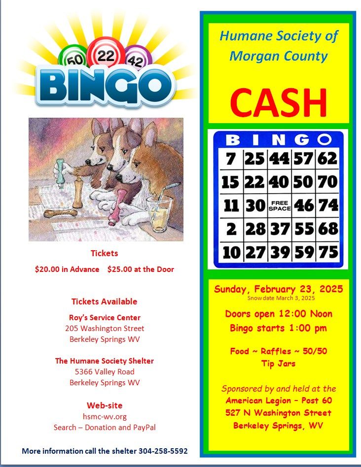 Bingo fundraiser