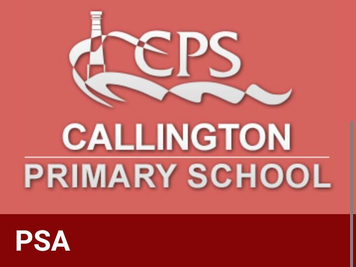 Callington Primary School PSA Christmas Fair