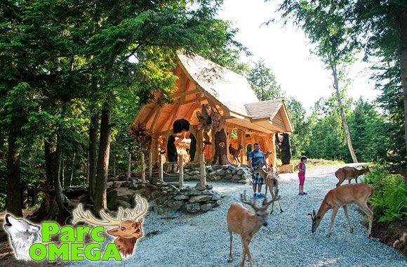 Journ\u00e9e parc Omega & D\u00e9couverte des Animaux! 