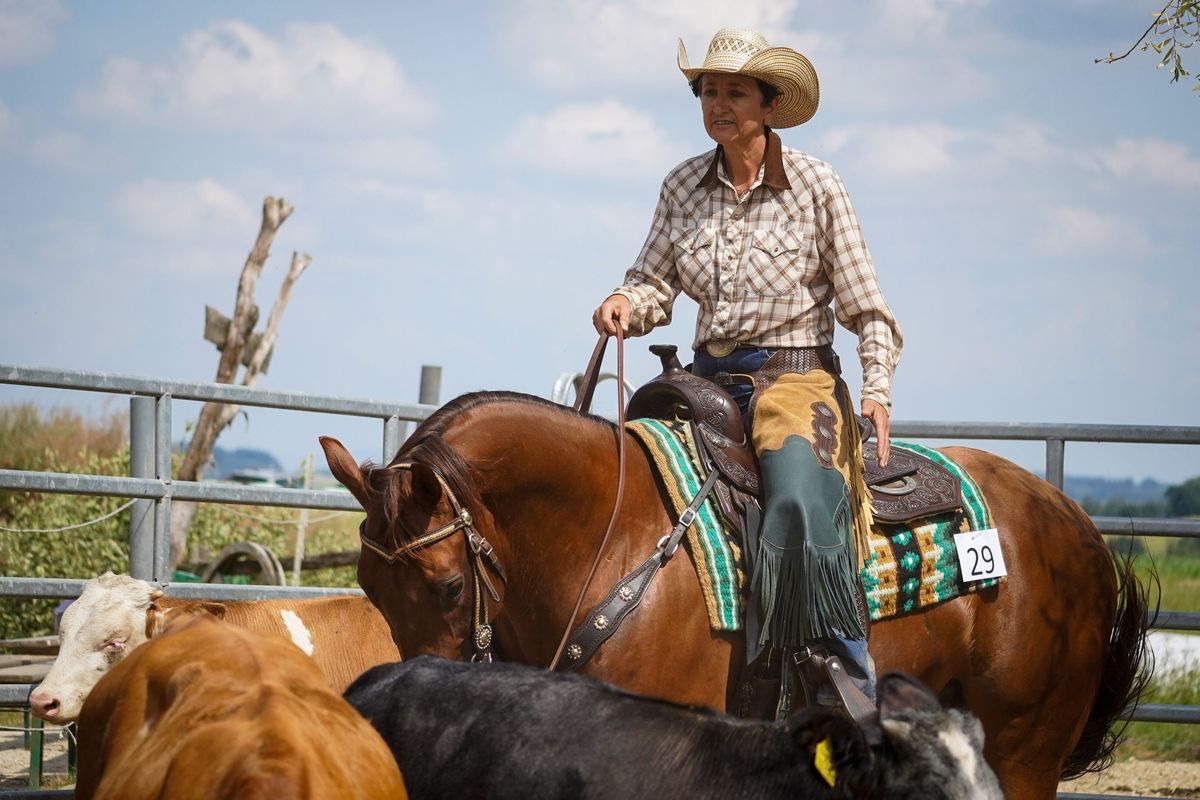 Erkl\u00e4rung\/Vortrag Ranch Klassen 