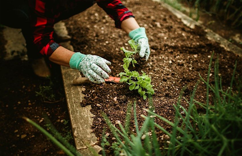 The Grow Show: The Care and Feeding of a Plant 5\/17\/2026 10-11am @ CAP