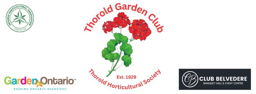 Thorold Garden Club & Niagara College Presents our 2nd Annual Seedy Saturday