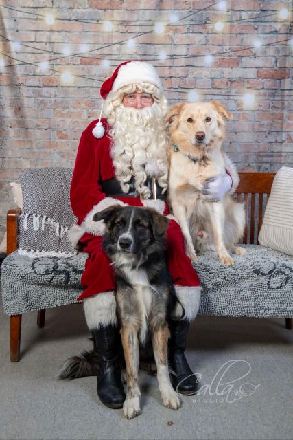 Pet Photos with Santa - Day 1