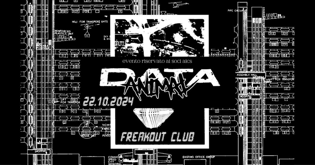 Data Animal | Freakout Club