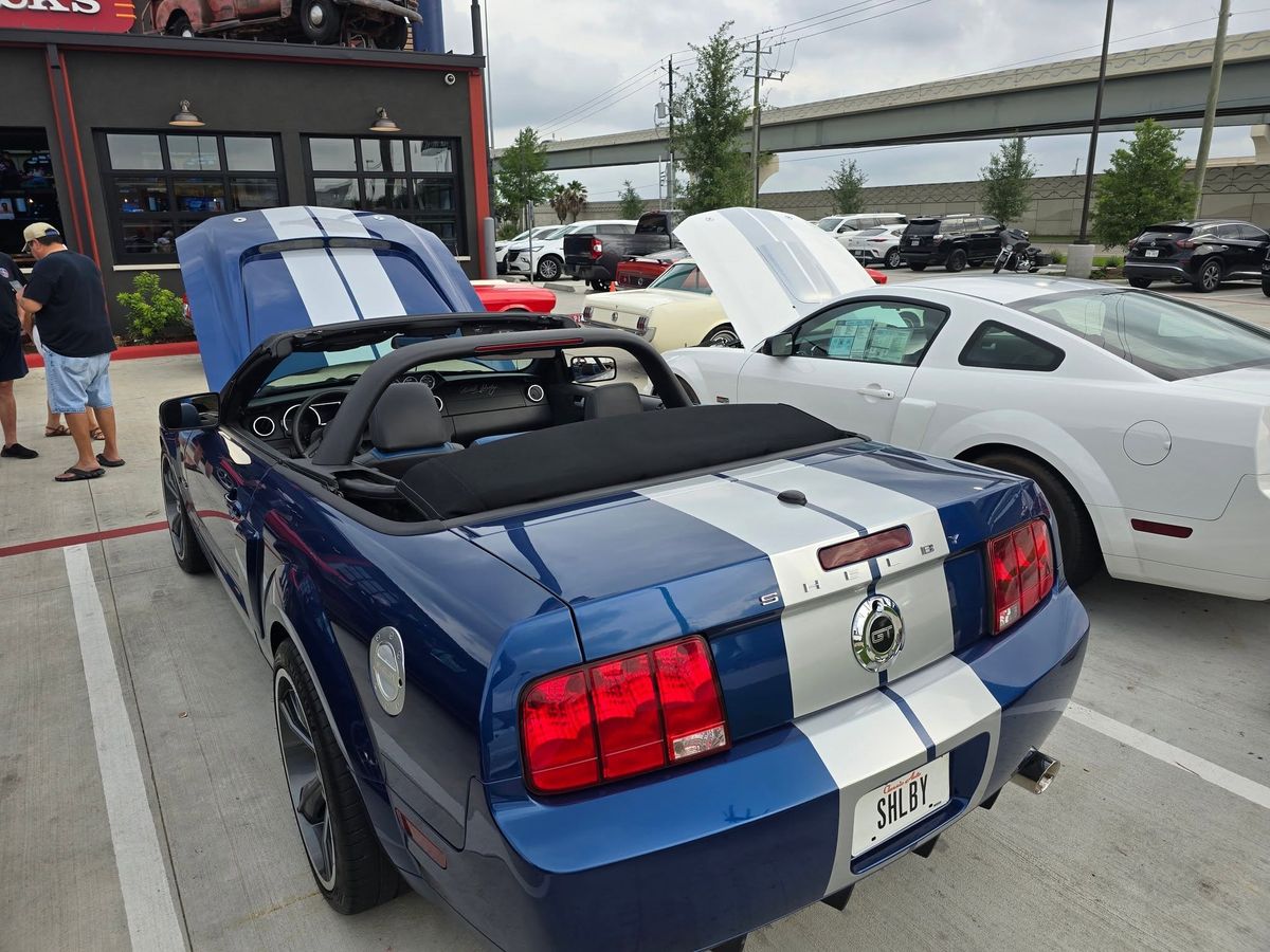 National Mustang Day Cruise In