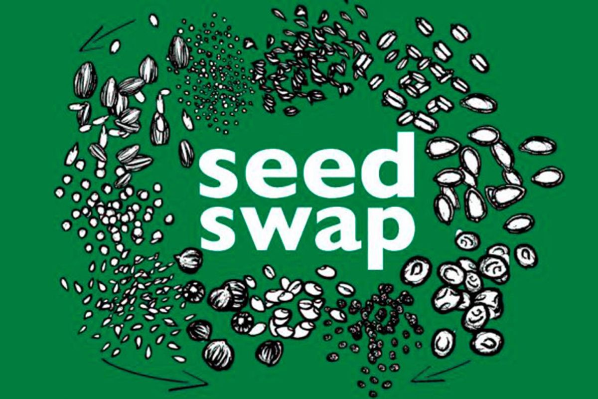 NAPERVILLE SEED SWAP