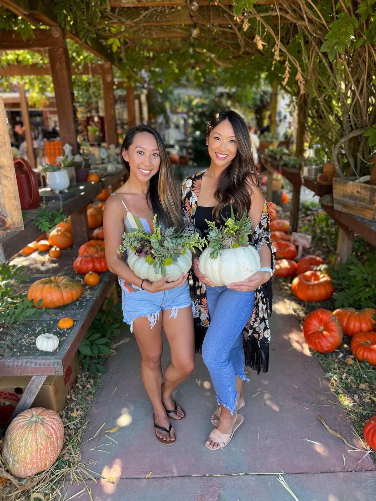 Succulent Pumpkin Workshop