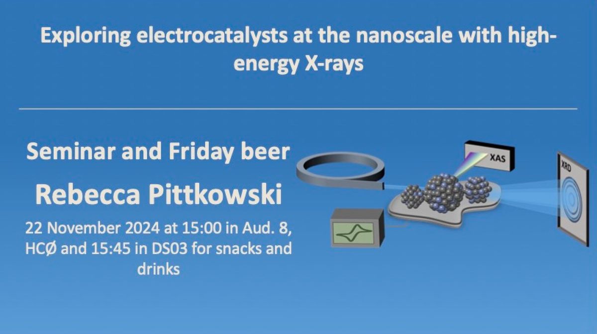 NSC seminar and Friday beer with Rebecca Pittkowski