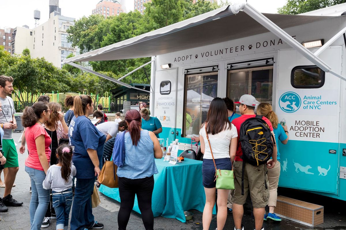 Woof Gang Bakery| Manhattan Adoption Event