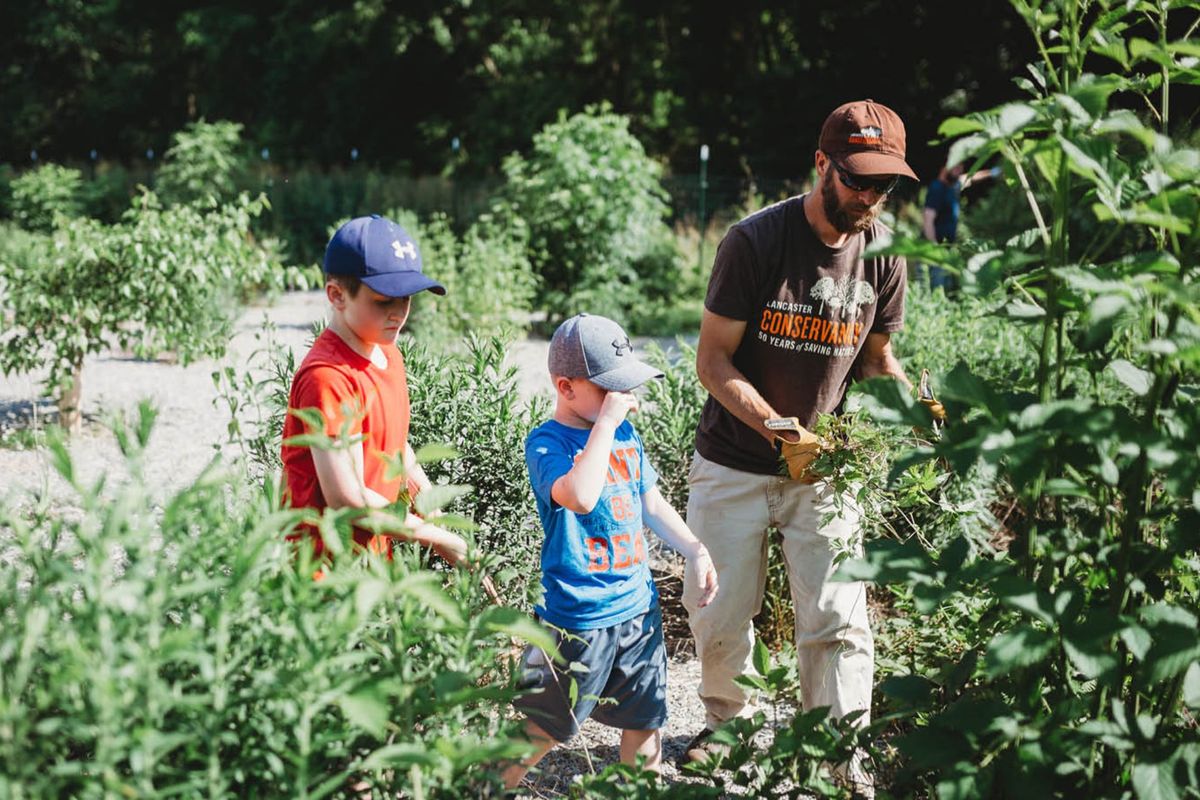 Exploration Hike: Falmouth Forest Garden at Conoy Wetlands Nature Preserve