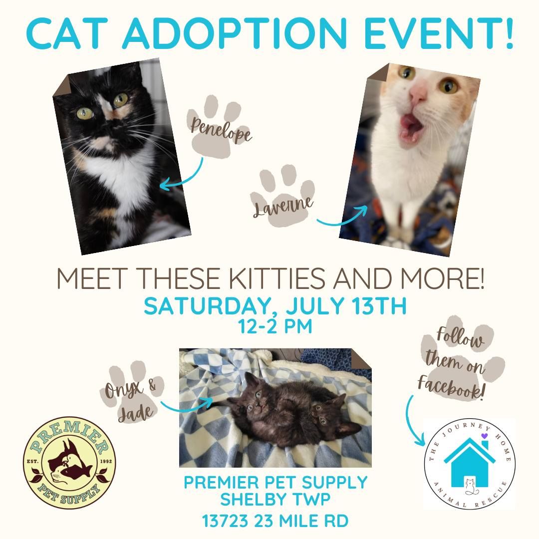 The Journey Home Cat Adoption Event!