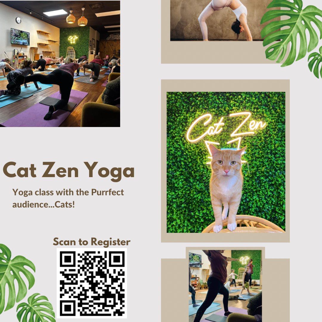 Yoga with Cats!