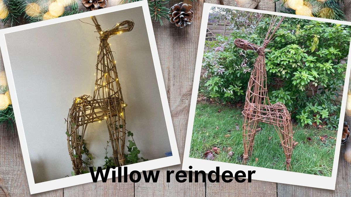 Willow reindeer workshop