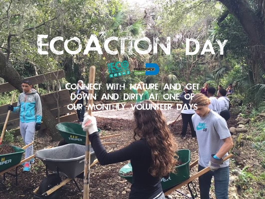 Arch Creek EcoAction Day 