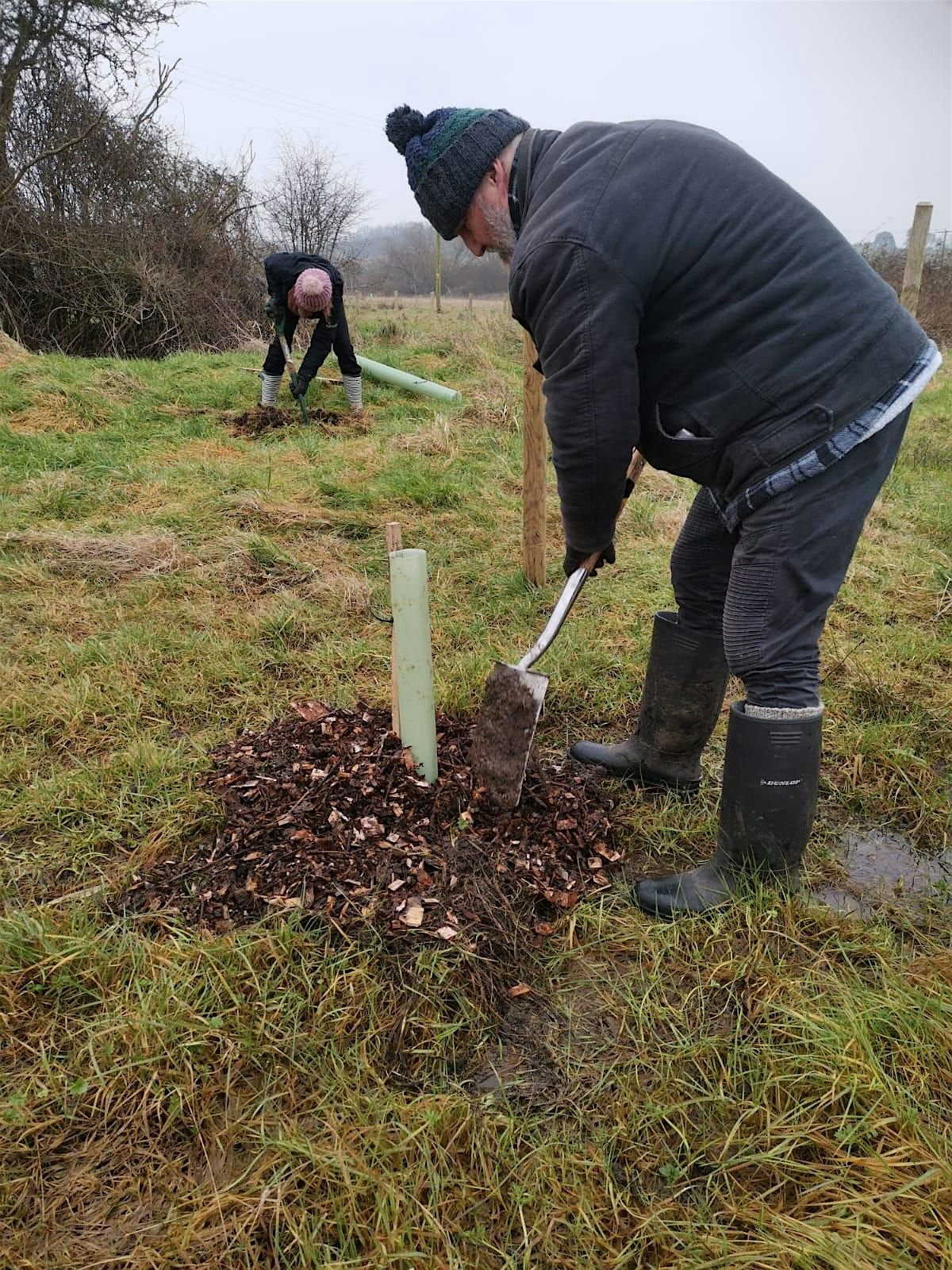 Plant Trees At Bridie's Farm