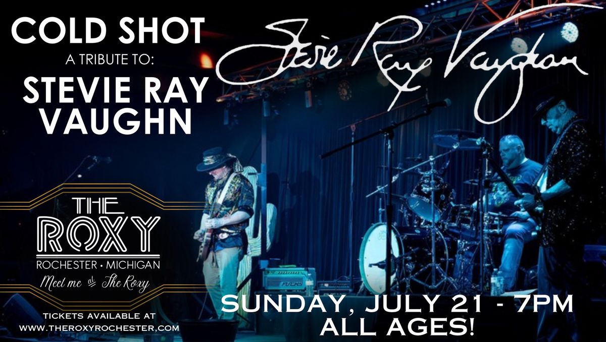 Stevie Ray Vaughn Tribute - Cold Shot