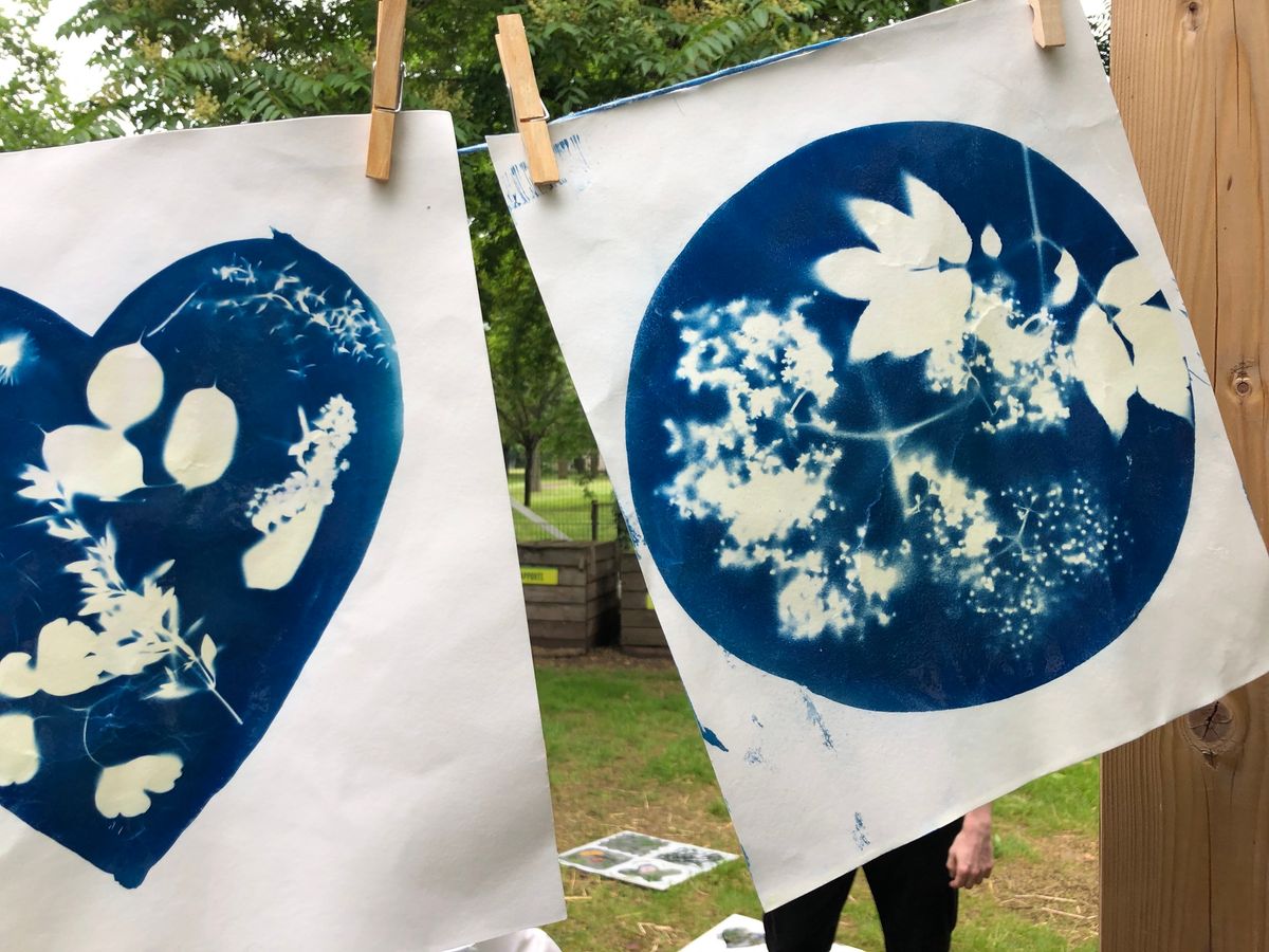 MERCREDI PHOTO - CYANOTYPE : l'art de l'impression bleue 