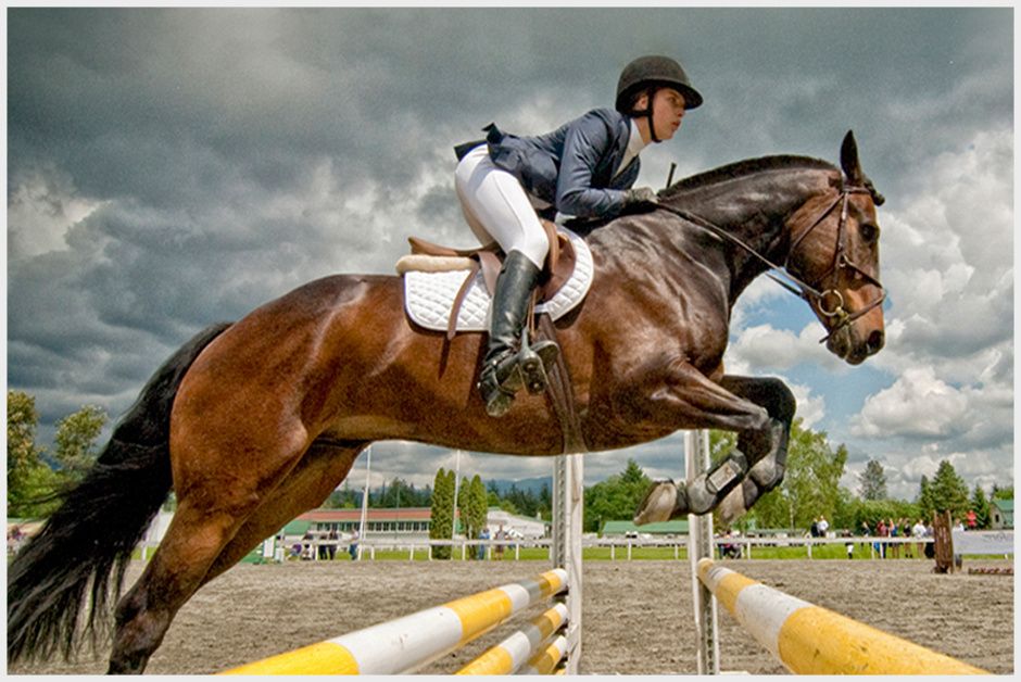 Equestrian @ Stratford A&P Show 2024