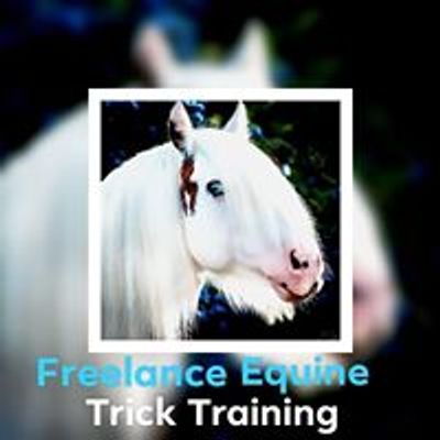 Freelance Equine - Trick Training and Horsemanship