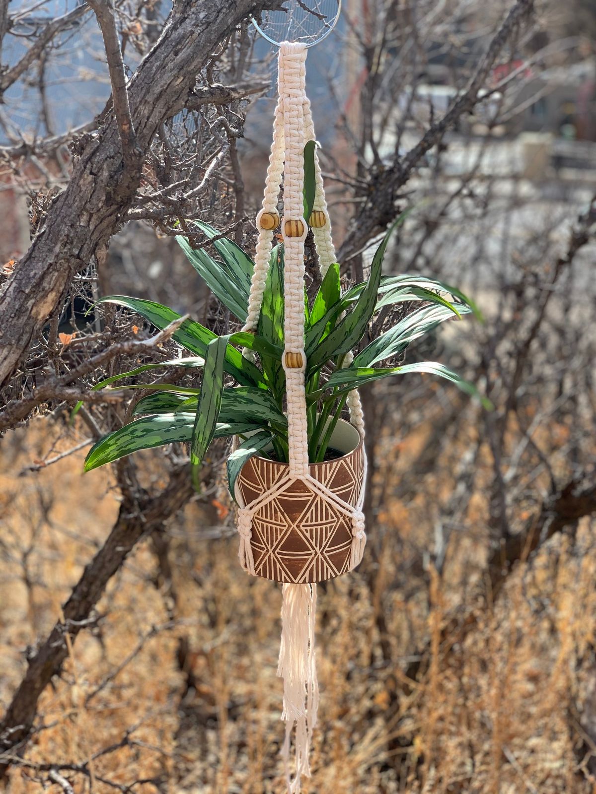 Retro Plant Hanger Macrame Workshop