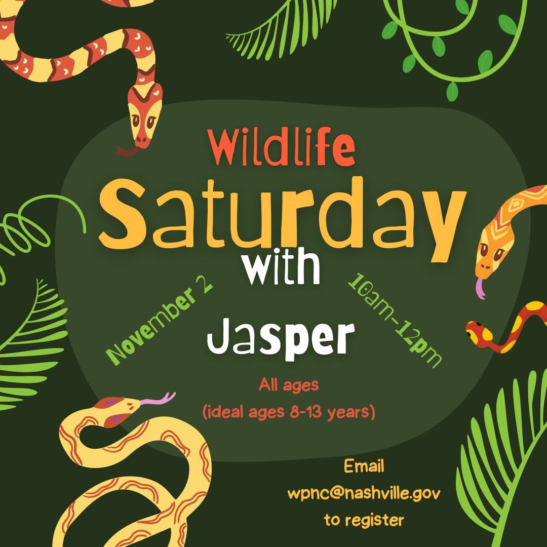 Wildlife Saturday with Jasper