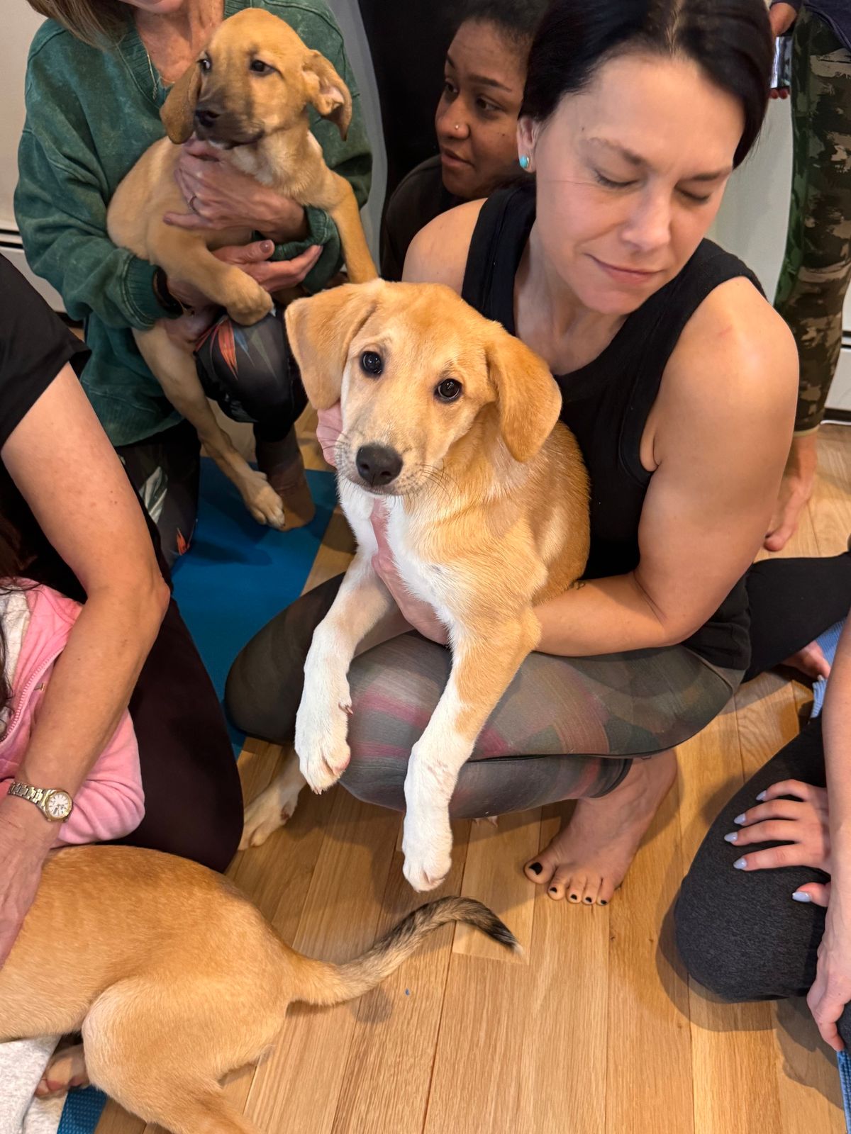 PUPPY LOVE YOGA