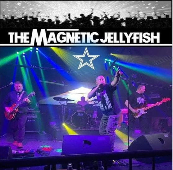 MAGNETIC JELLYFISH