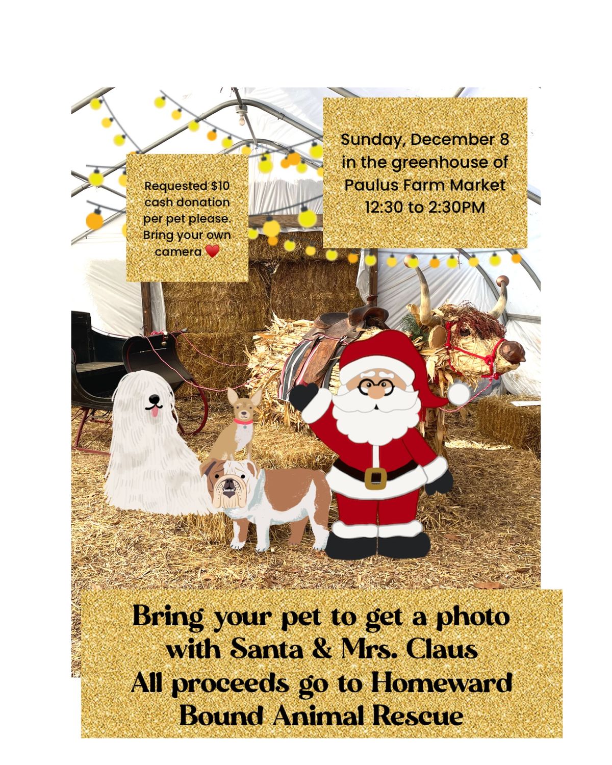 Pet Photos with Santa 