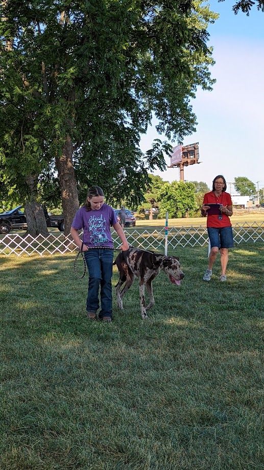 Dog Club Demonstration and Awards 