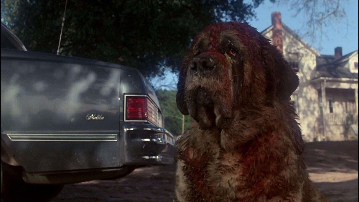 Cujo (1983) - Friday Night Frights