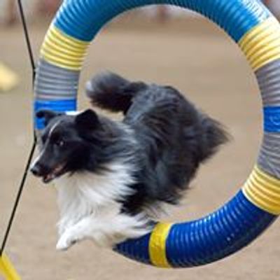 Northwest Arkansas Agility Group